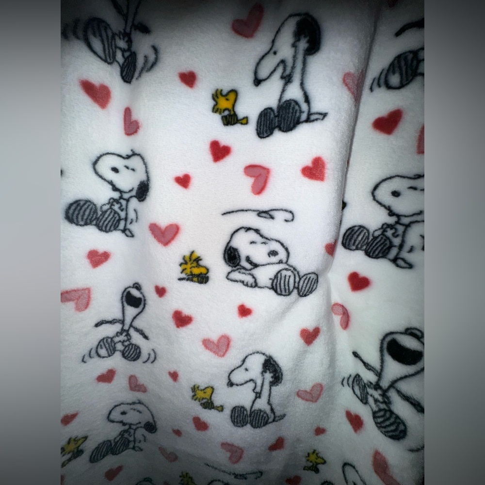 Snoopy V-Day Blanket - Picture 2 of 3